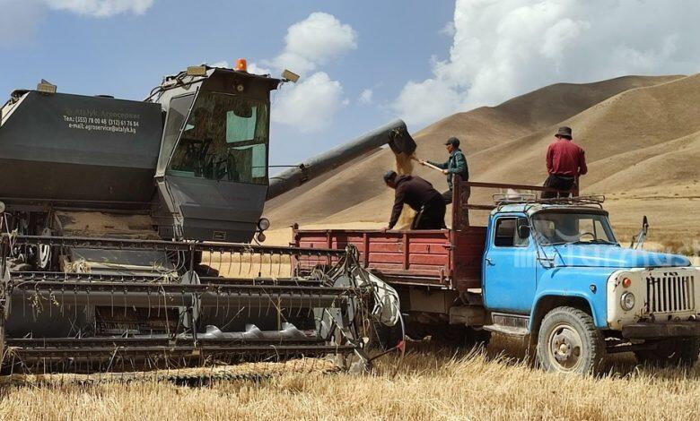 Прогноз роста производства сельхозпродукции в Кыргызстане